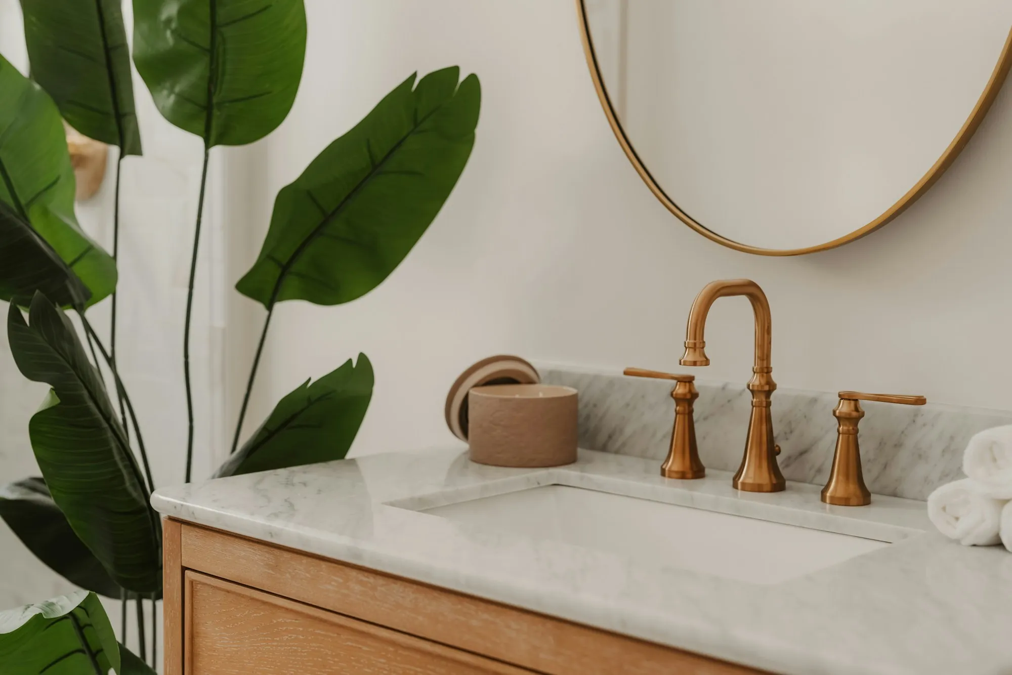 Water Softener Installation in Santa Ana Modern bathroom sink with a brass faucet and a green plant