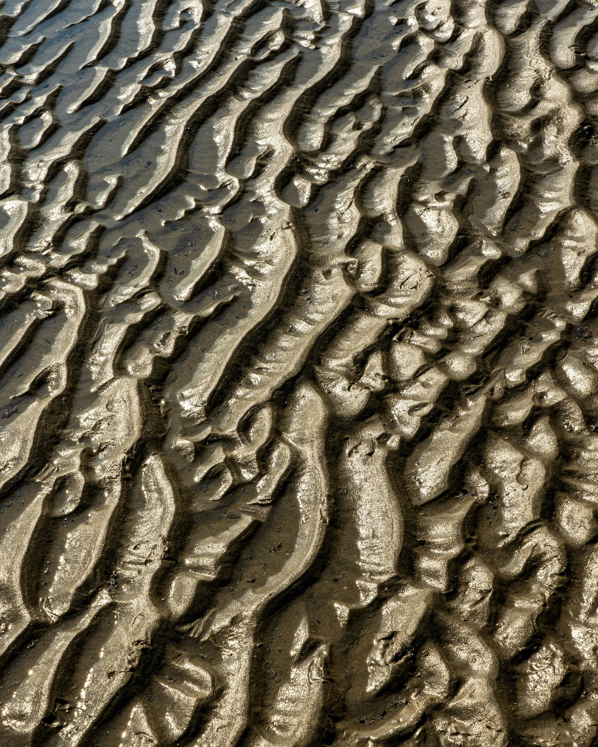 Sediment Filtration in Santa Ana Brown sand with water droplets