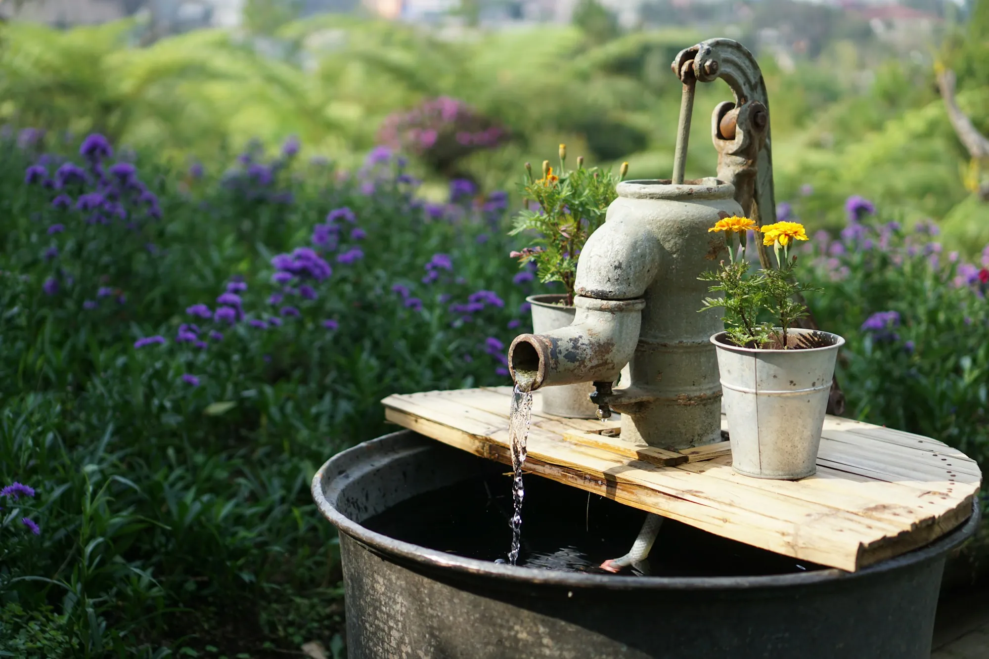 Well Water Filtration & Treatment in Santa Ana Gray deep well pump surrounded by flowers